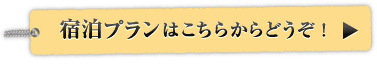 ご予約・プラン情報はこちら